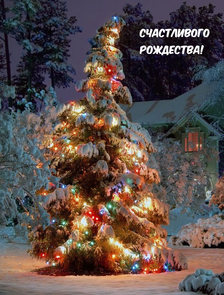 Счастливого Рождества!