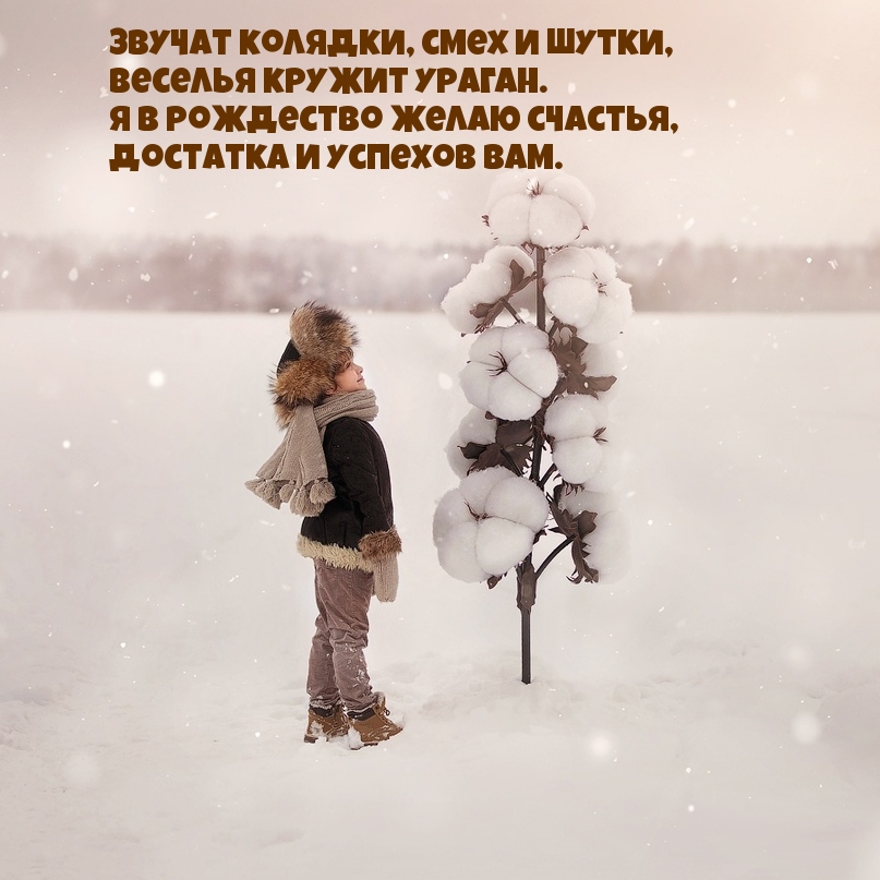 Звучат колядки, смех и шутки! В Рождество!