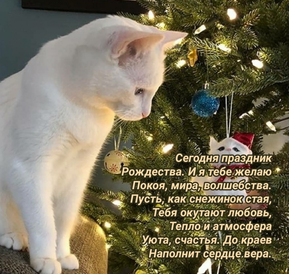 Сегодня праздник Рождества! Покоя, мира, волшебства!