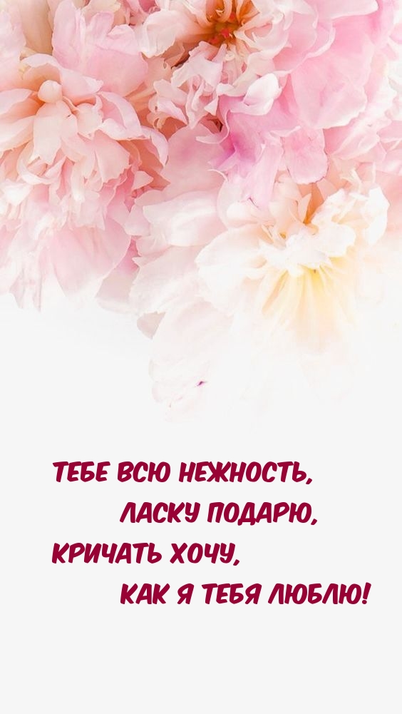Тебе всю нежность, ласку подарю! как я тебя люблю!