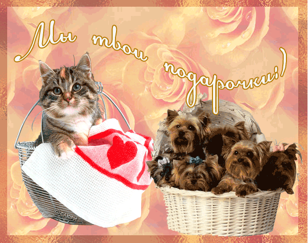 Мы твои подарочки