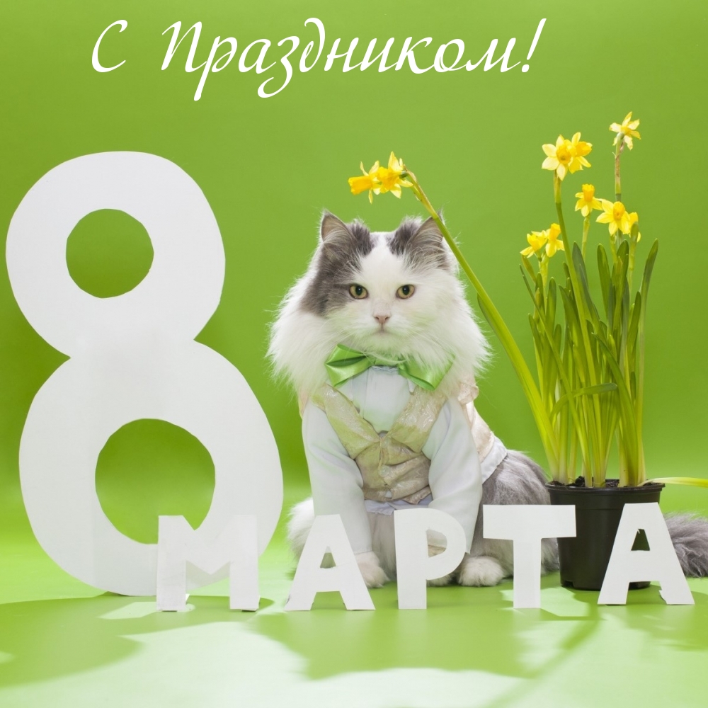 С Праздником! 8 марта