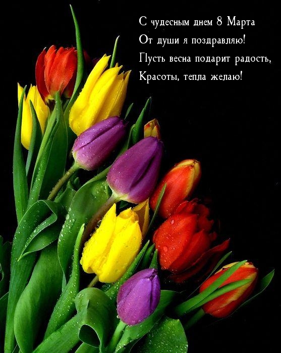 С чудесным днем 8 Марта! Поздравляю!