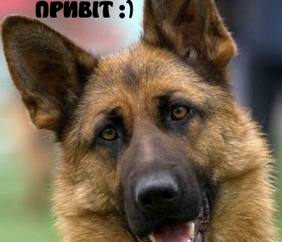 ПРИВІТ