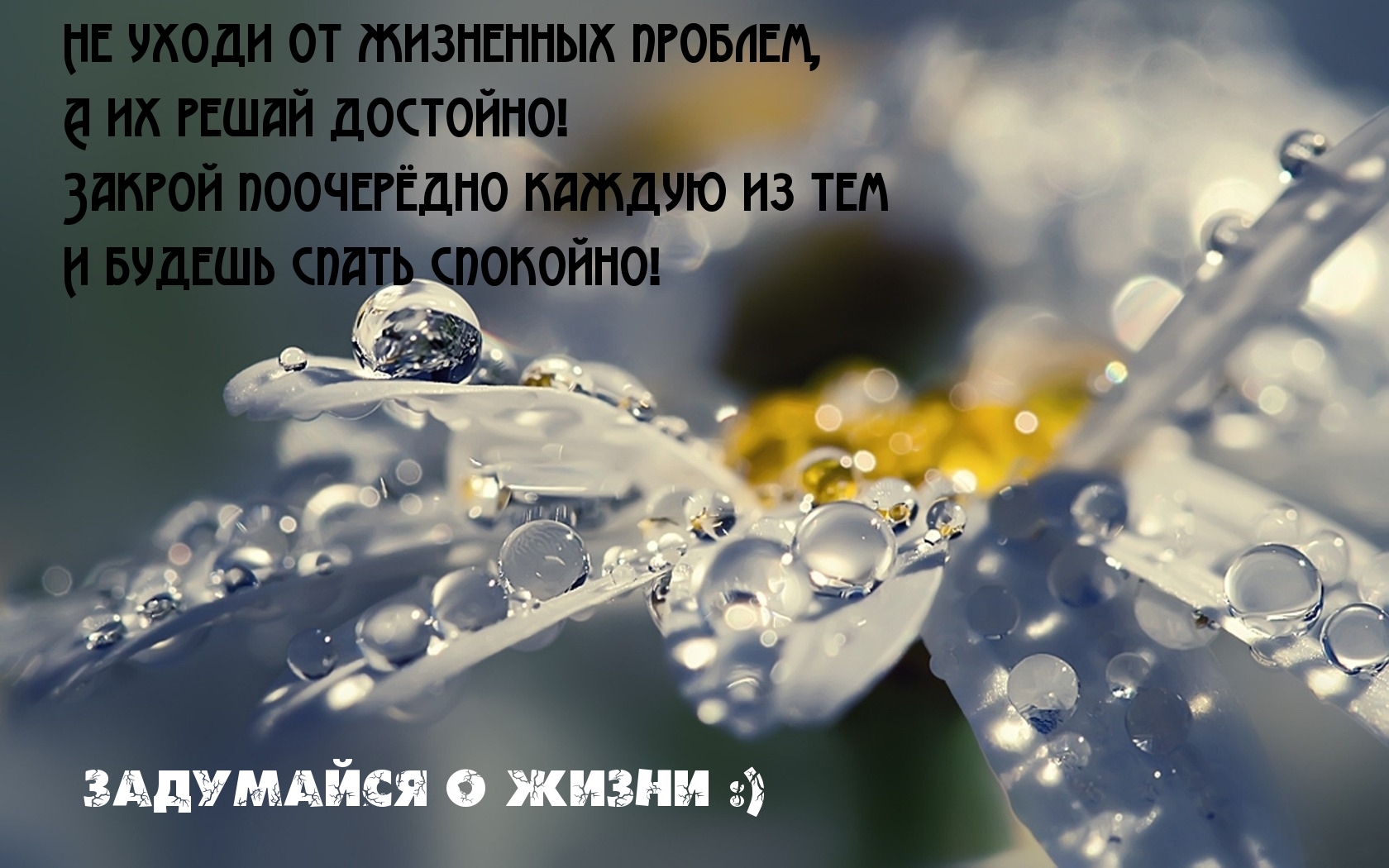 Задумайся о жизни