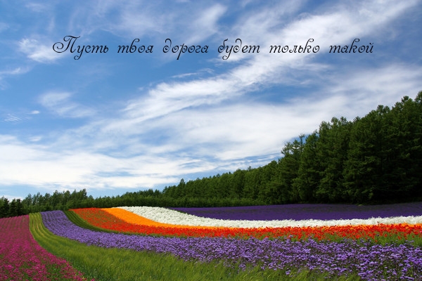 Твоя дорога