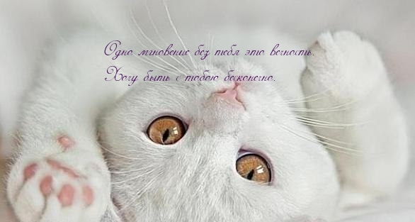 Хочу быть с тобою