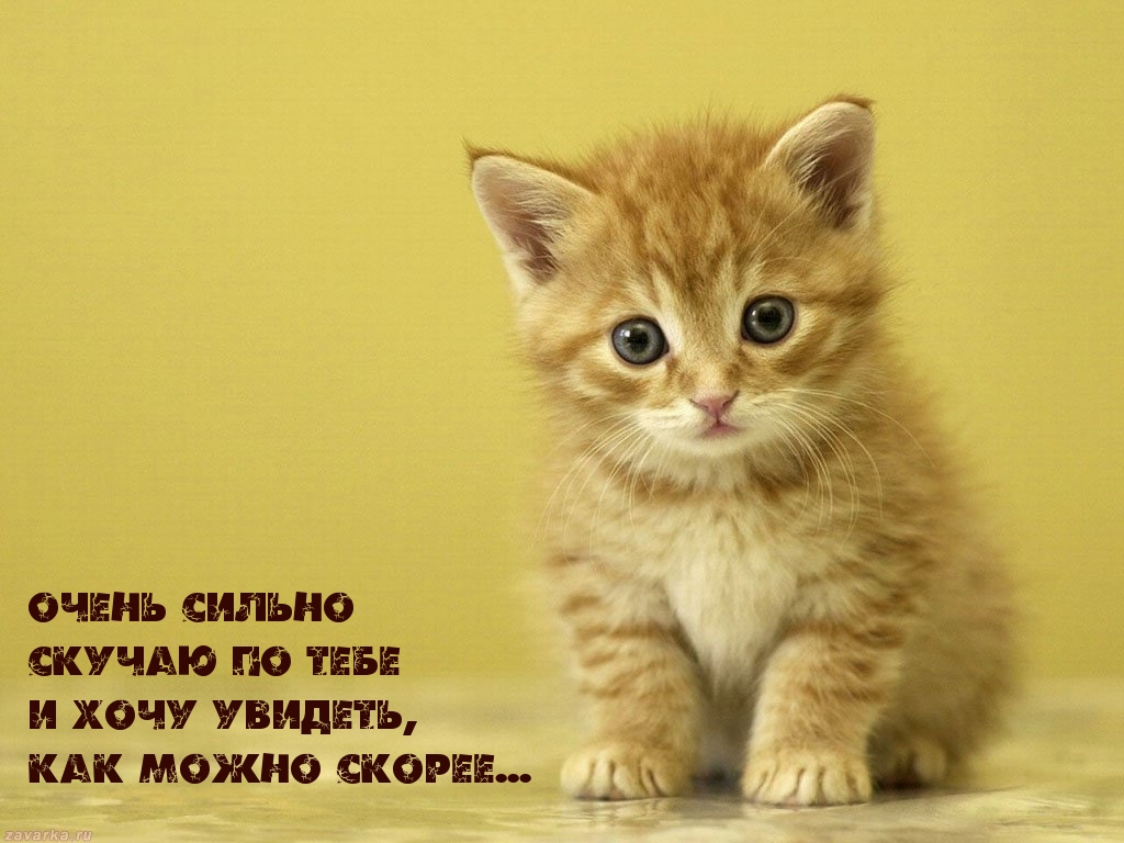 Скучаю по тебе
