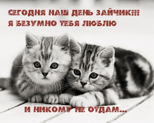 Я безумно тебя люблю