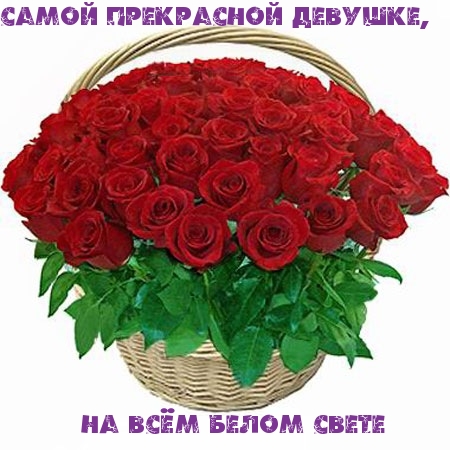 Самой прекрасной девушке