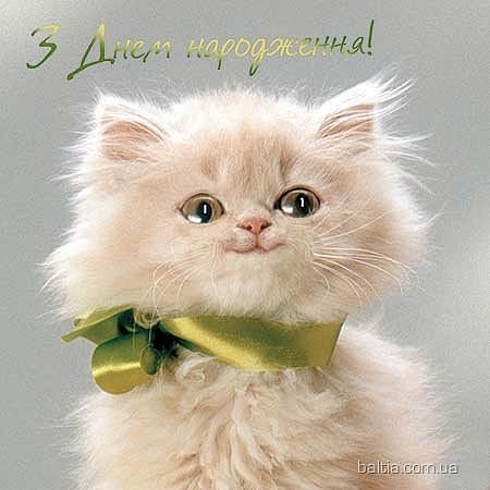 С днем рождения!