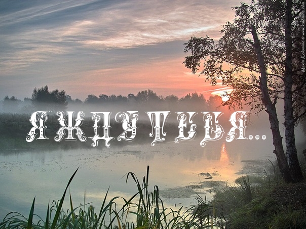 Я жду тебя…