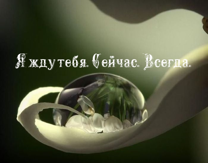 Я жду тебя. Сейчас. Всегда.