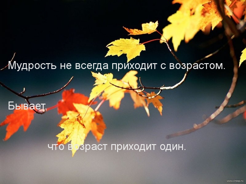 Мудрость не всегда приходит с возрастом