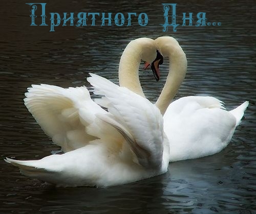 Картинки с надписями.  Приятного  Дня....