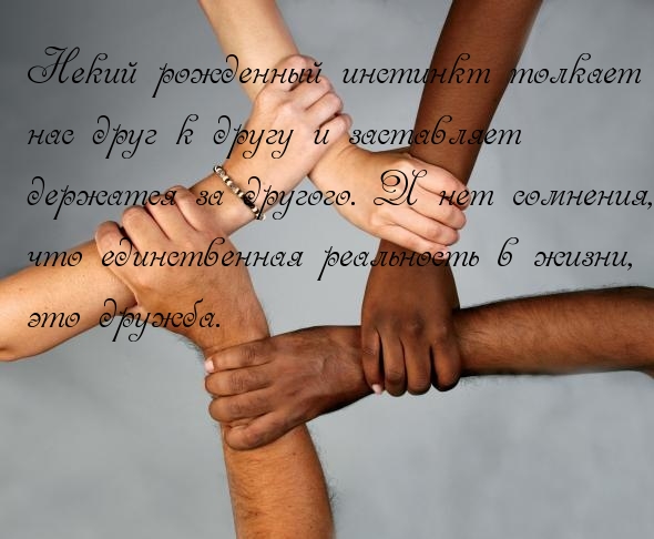 Единственная реальность в жизни, это дружба