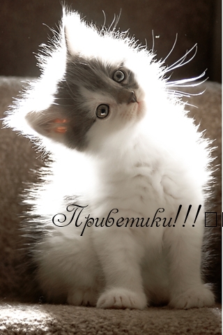 Приветики!