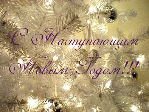 С Наступающим   Новым Годом!