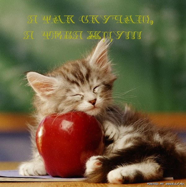 Я так скучаю, я жду тебя!