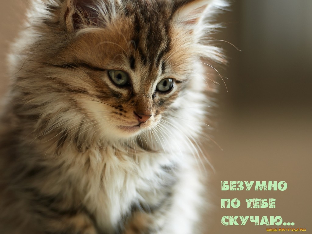 Безумно по тебе скучаю…