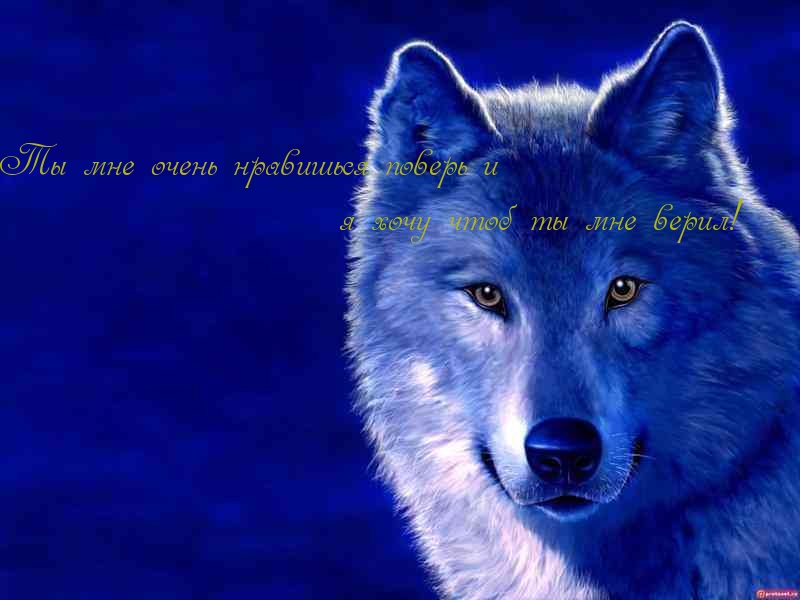 Ты мне очень нравишься поверь