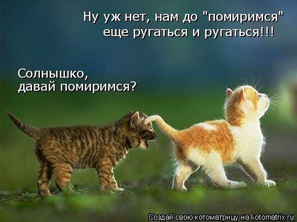 Солнышко, давай помиримся?