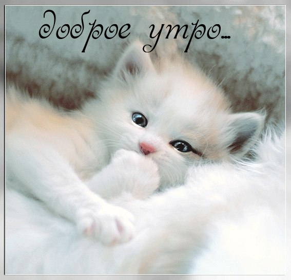 доброе утро…