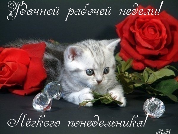 Удачно рабочей недели!
