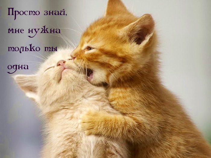 Мне нужна только ты одна