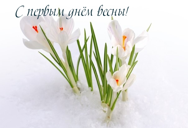 С первым днём весны!