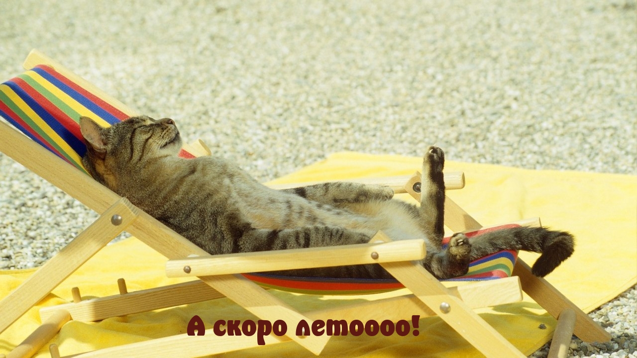 А скоро лето!