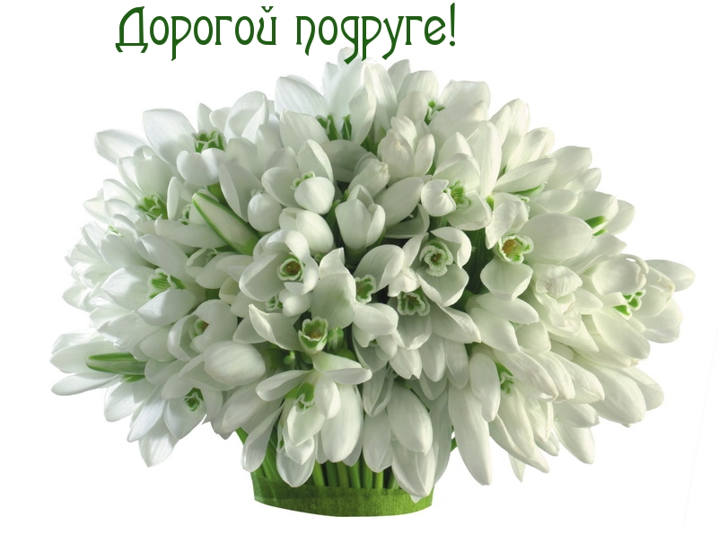 Дорогой подруге!