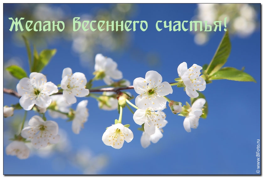Желаю весеннего счастья!
