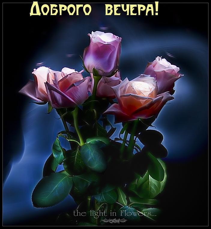 Доброго вечера!