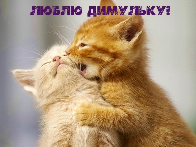 Люблю Димульку!