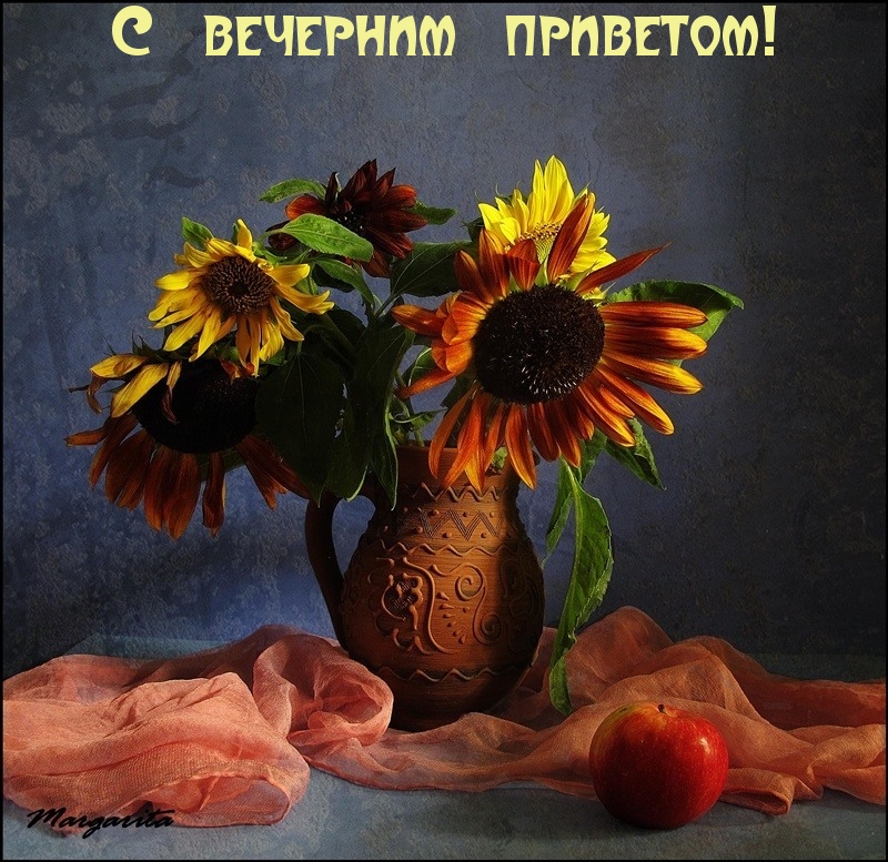 С вечерним приветом!