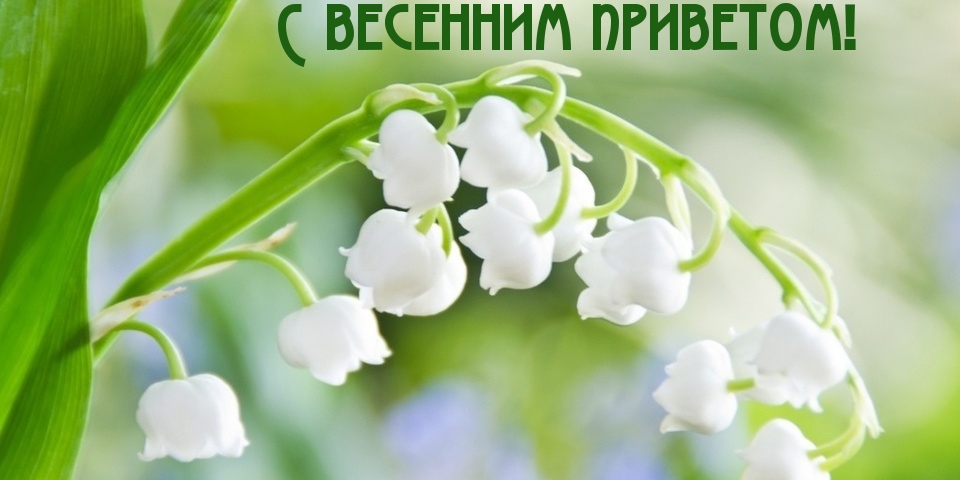 С весенним приветом!