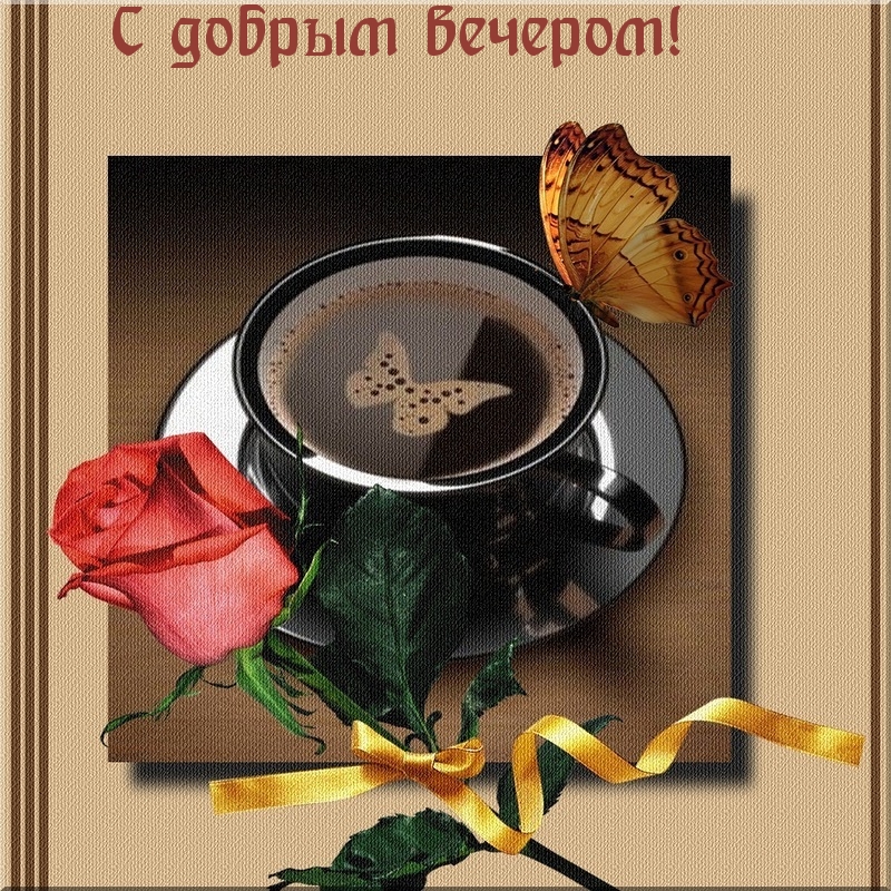 С добрым вечером!