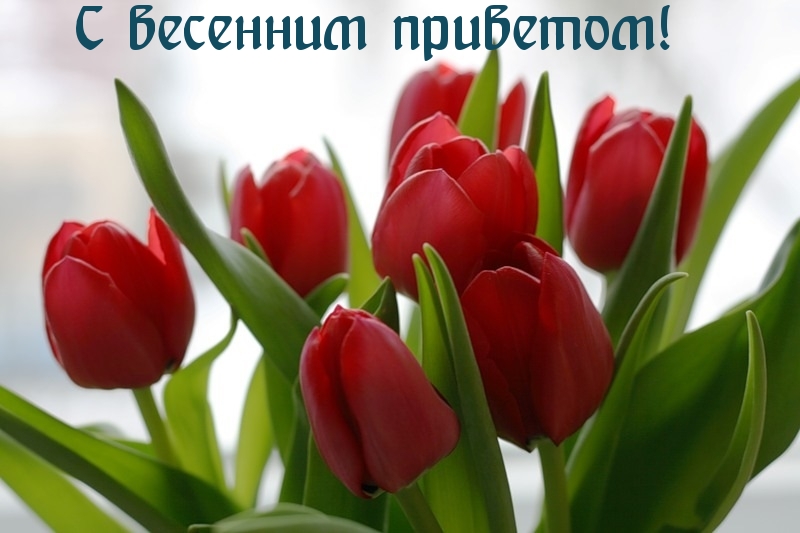 С весенним приветом!