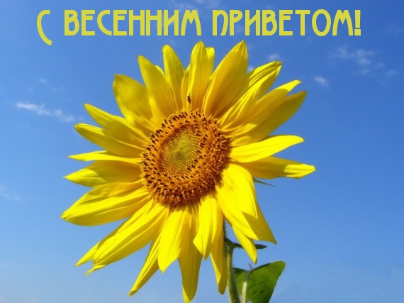 С весенним приветом!