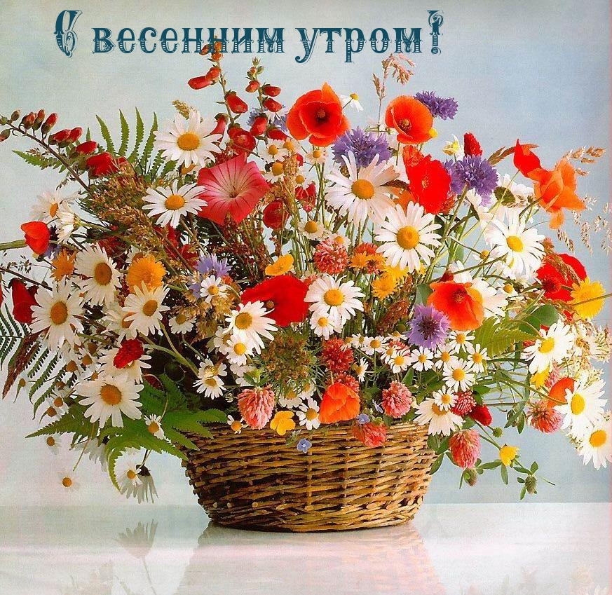 С весенним утром!