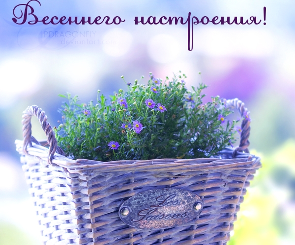 Весеннего настроения!