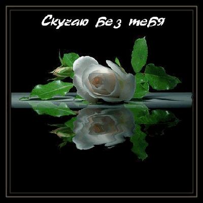 скучаю без тебя