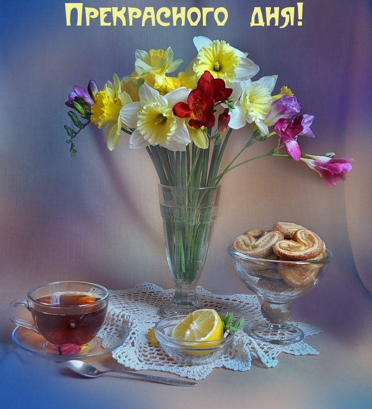 Прекрасного дня!