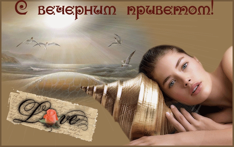 С вечерним приветом!
