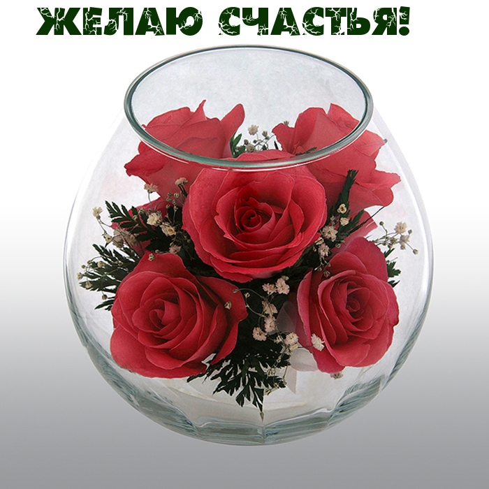 Желаю счастья!