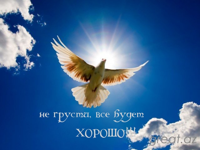 Не грусти, все будет хорошо!