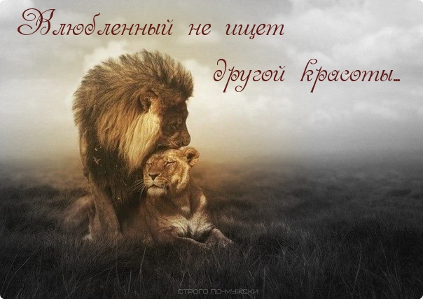 Влюбленный не ищет другой красоты