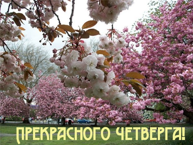 Прекрасного четверга!