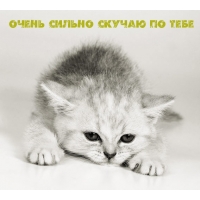 Очень сильно скучаю по тебе